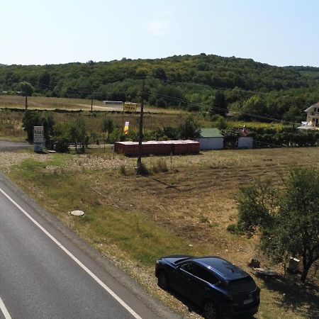 Pensiunea Vidra Băile Felix Esterno foto