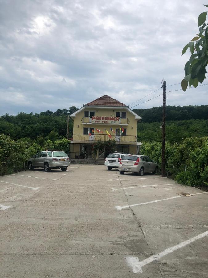 Pensiunea Vidra Băile Felix Esterno foto