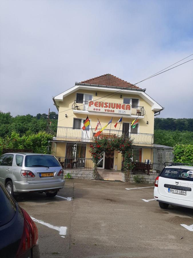 Pensiunea Vidra Băile Felix Esterno foto