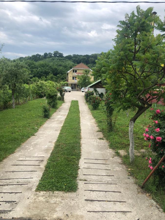 Pensiunea Vidra Băile Felix Esterno foto