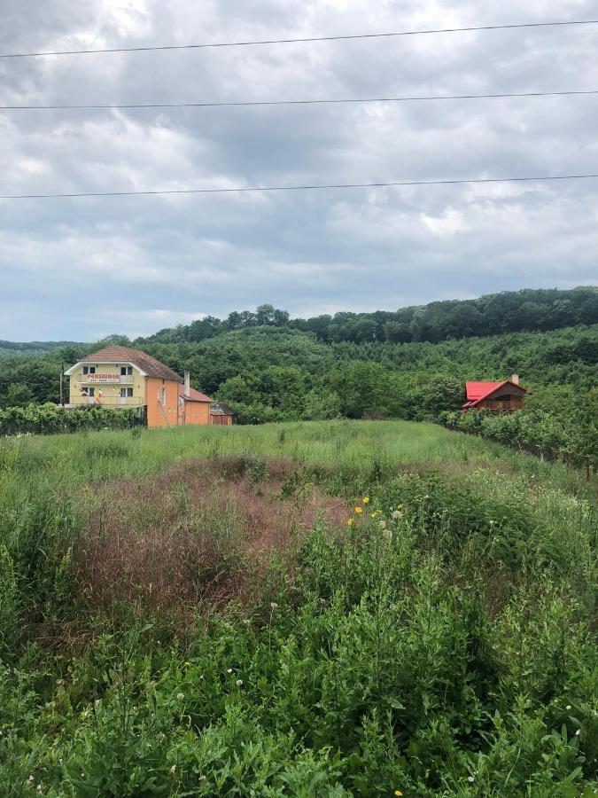 Pensiunea Vidra Băile Felix Esterno foto