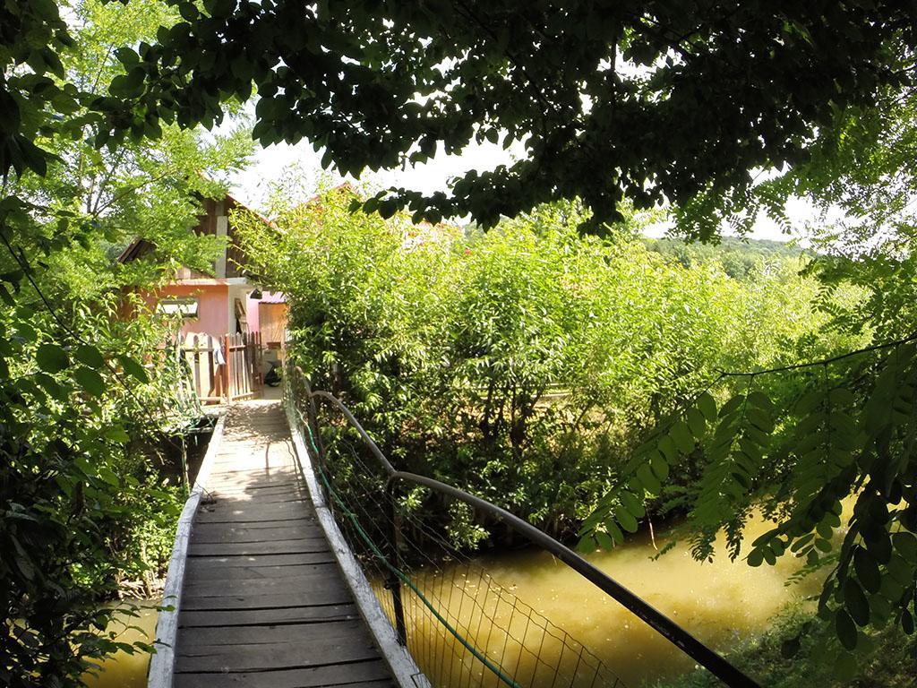 Pensiunea Vidra Băile Felix Esterno foto