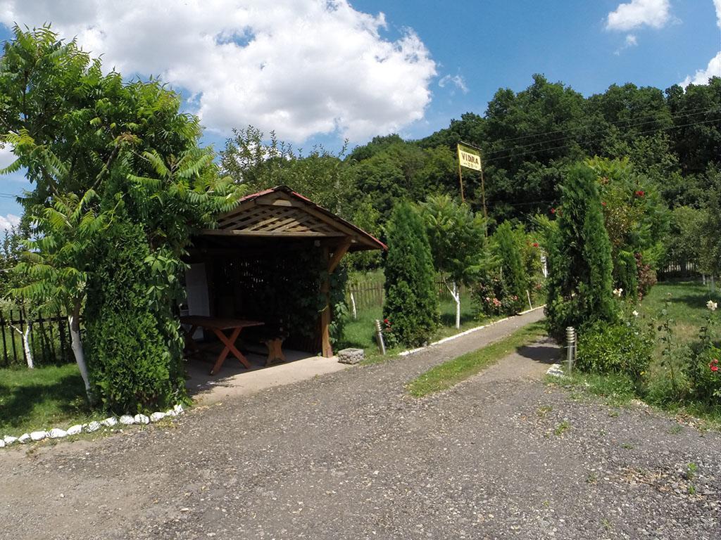 Pensiunea Vidra Băile Felix Esterno foto