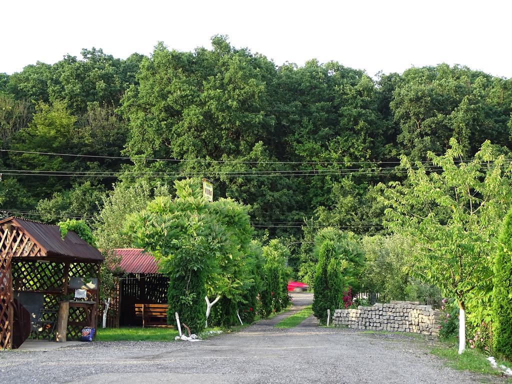 Pensiunea Vidra Băile Felix Esterno foto