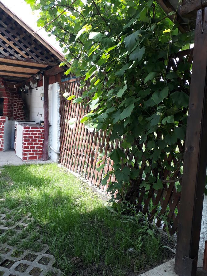 Pensiunea Vidra Băile Felix Esterno foto