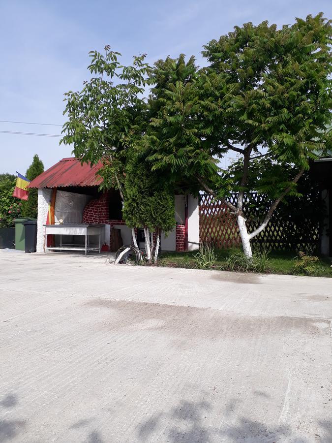 Pensiunea Vidra Băile Felix Esterno foto