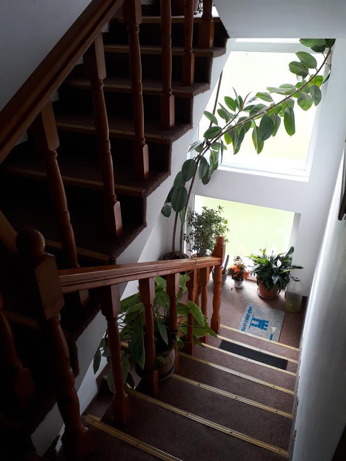 Pensiunea Vidra Băile Felix Esterno foto