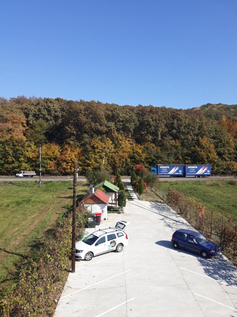 Pensiunea Vidra Băile Felix Esterno foto